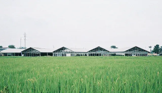 高端网站设计建站:助力企业推广套餐A的供应采购升级